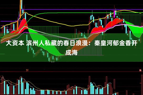 大资本 滨州人私藏的春日浪漫：秦皇河郁金香开成海