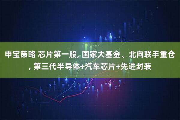 申宝策略 芯片第一股, 国家大基金、北向联手重仓, 第三代半导体+汽车芯片+先进封装