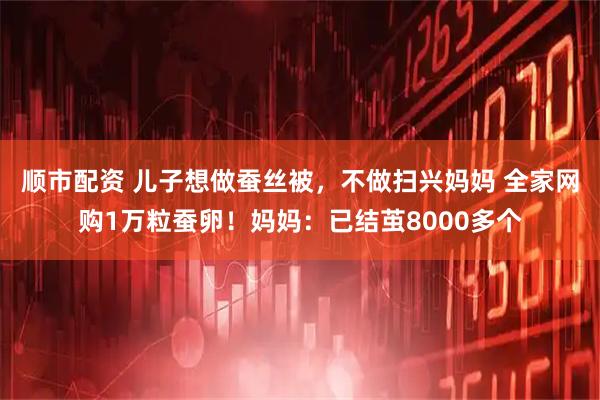 顺市配资 儿子想做蚕丝被，不做扫兴妈妈 全家网购1万粒蚕卵！妈妈：已结茧8000多个