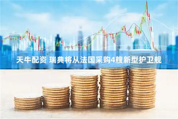 天牛配资 瑞典将从法国采购4艘新型护卫舰