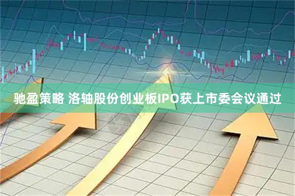 驰盈策略 洛轴股份创业板IPO获上市委会议通过