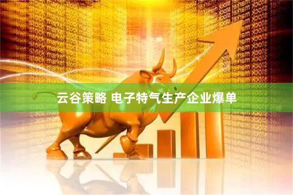 云谷策略 电子特气生产企业爆单